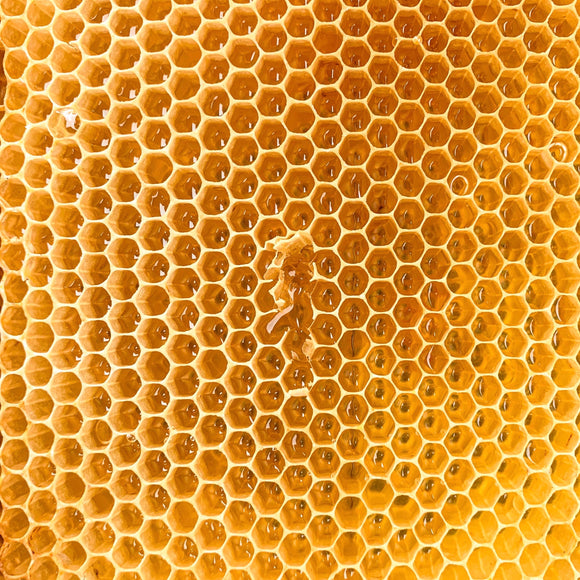 Ist Honig ewig haltbar?